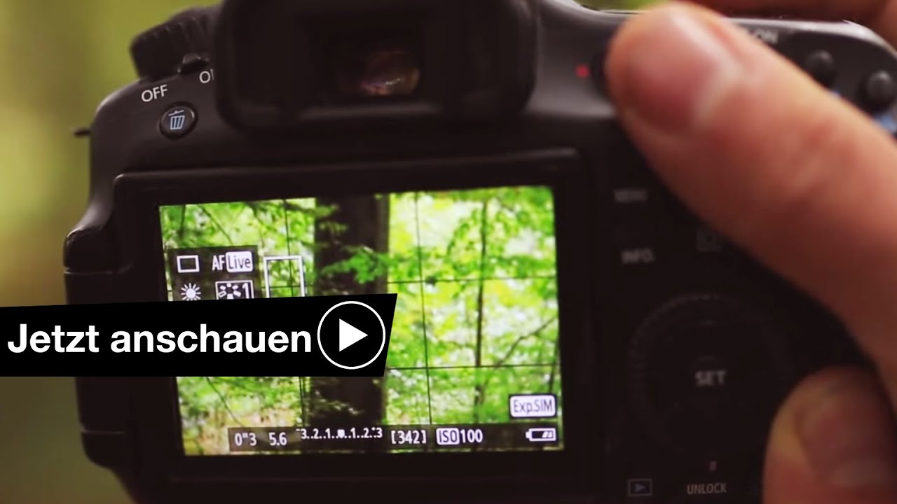 📷 Kamera Einfach die Belichtung einstellen💡 Benjamin Jaworskyj fotografieren lernen