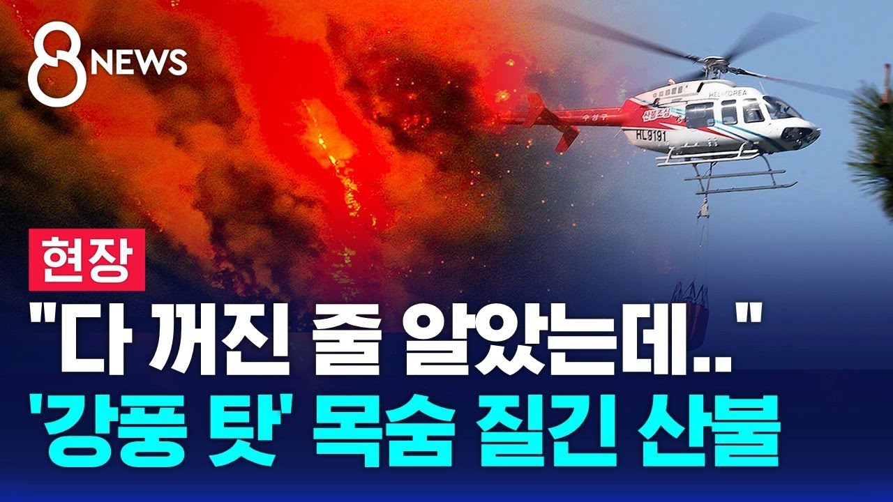 [현장] 