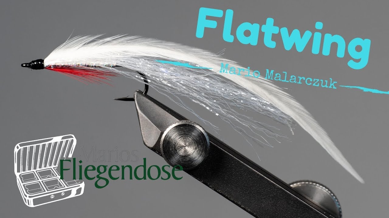 Marios Fliegendose - Flatwing für Kunden
