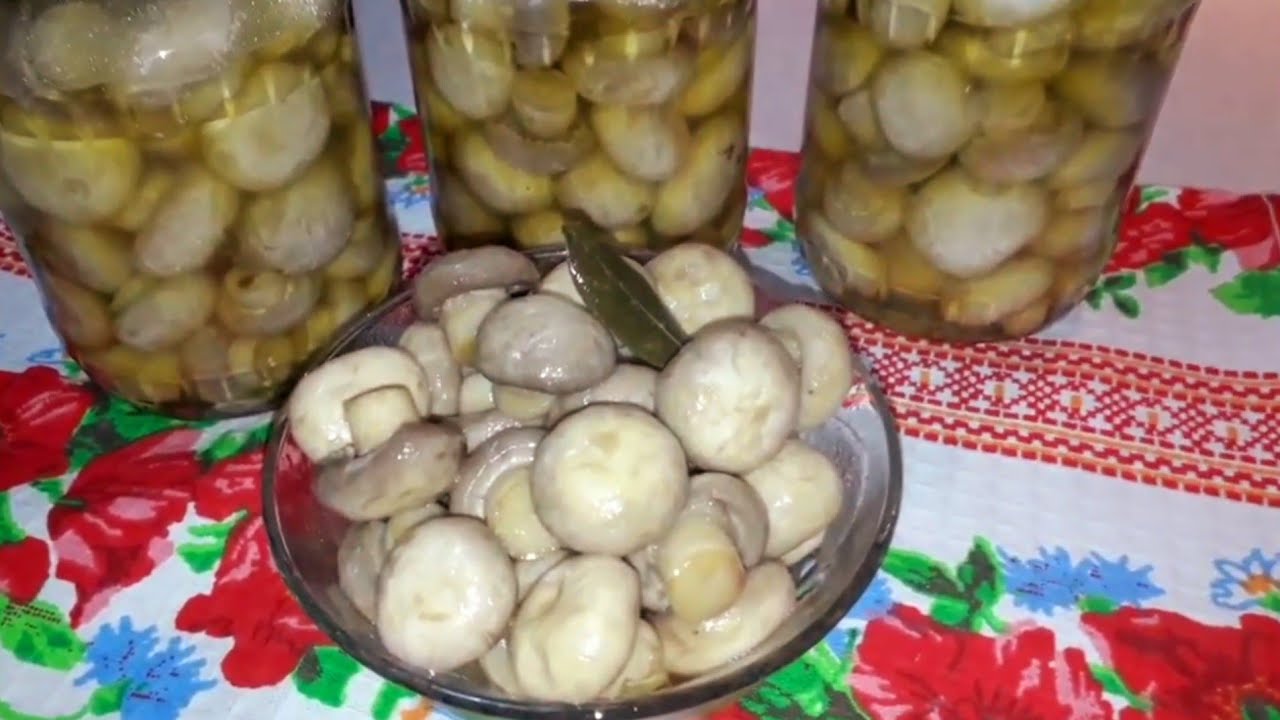 Ciuperci marinate ||Retete Delicioase