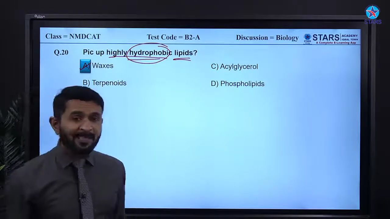 Discussion B2 A