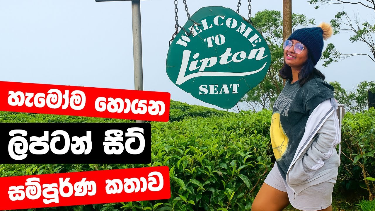 පළාත් 5ක් පේන Lipton Seat කතන්දරේ | Lipton Seat Haputale Sri Lanka