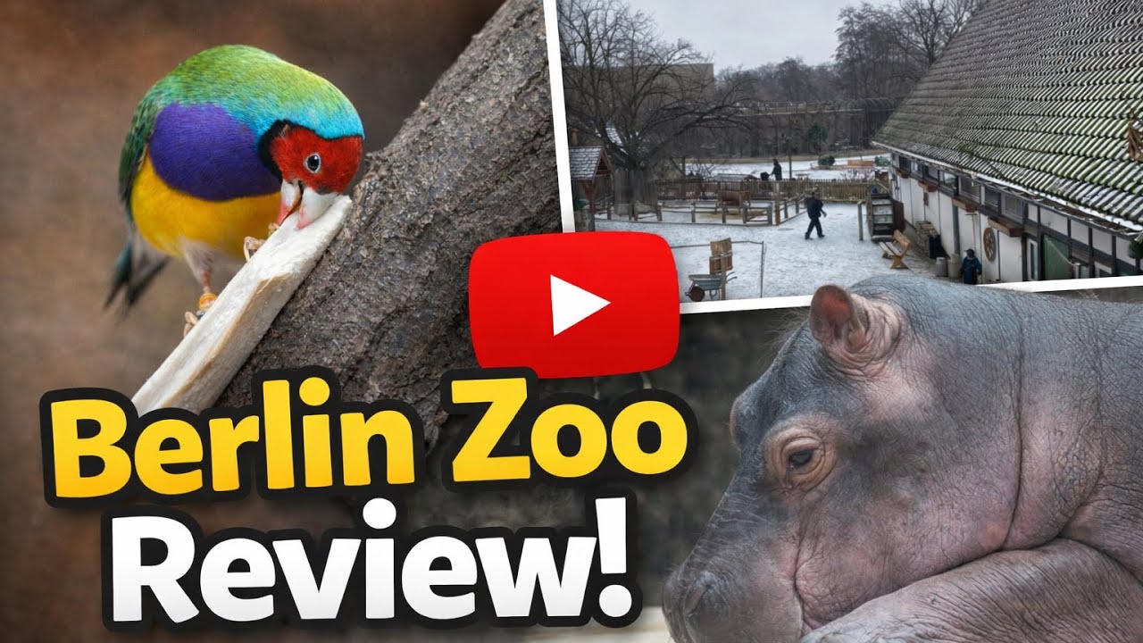 I Visited Berlin Zoo...but is it worth the Visit?