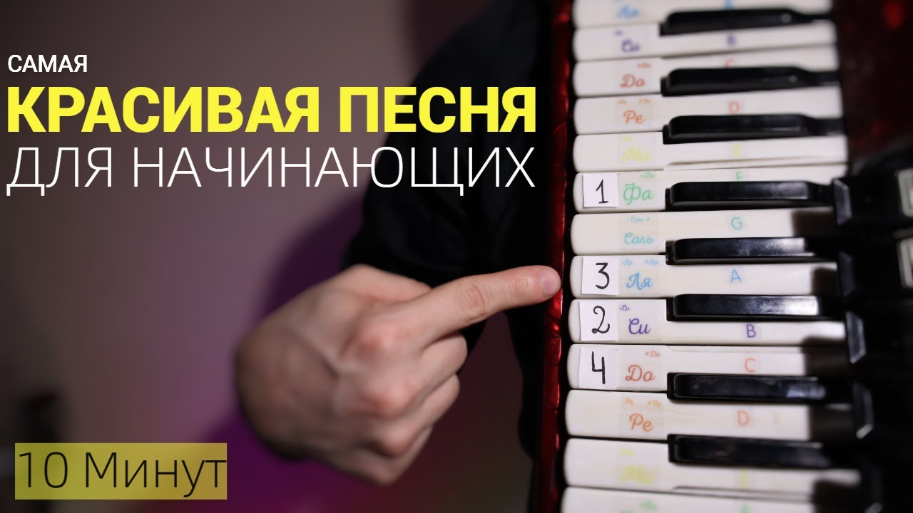 ОБУЧЕНИЕ для НАЧИНАЮЩИХ 