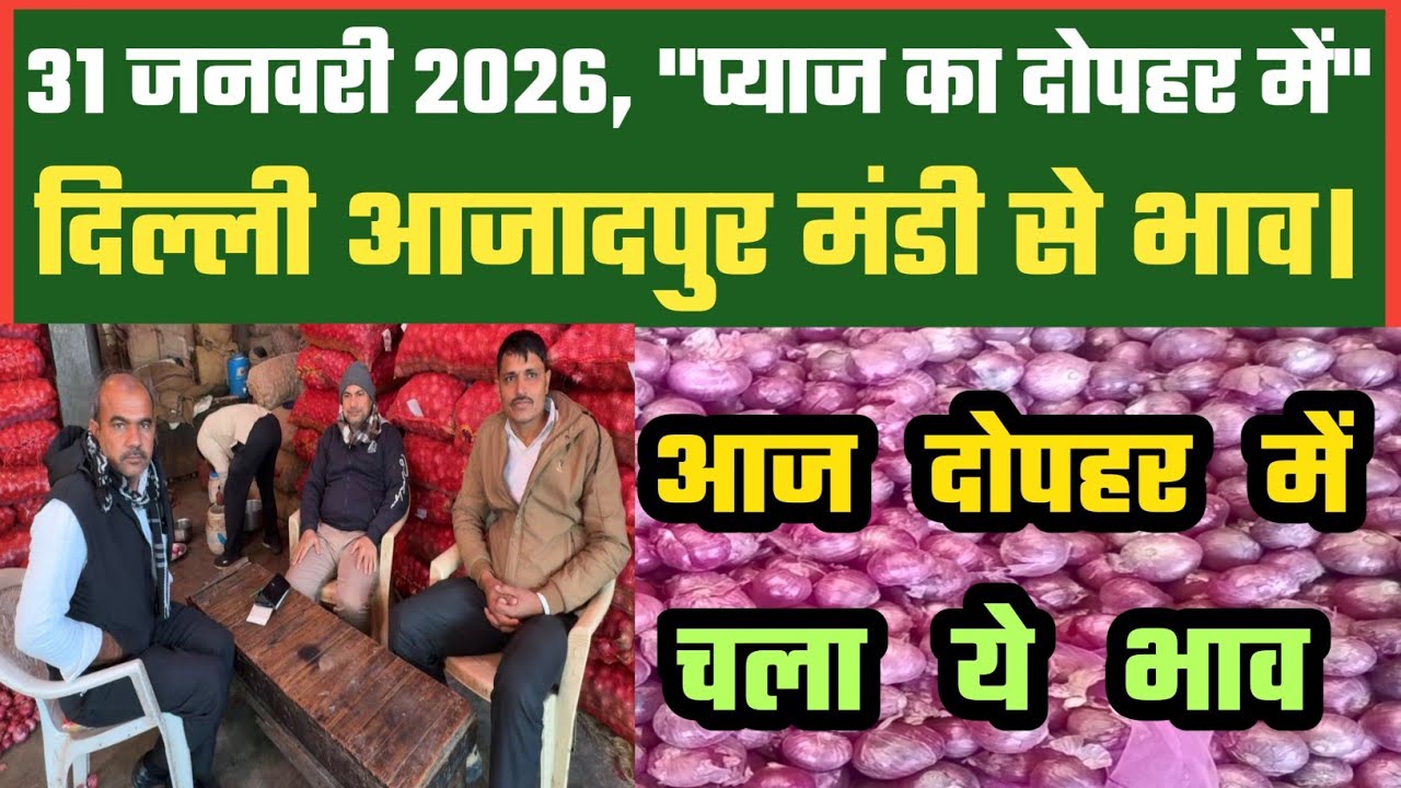 प्याज का दोपहर का भाव Azadpur Delhi Mandi Today में 31-01-2026 के Onion Price DMT TV