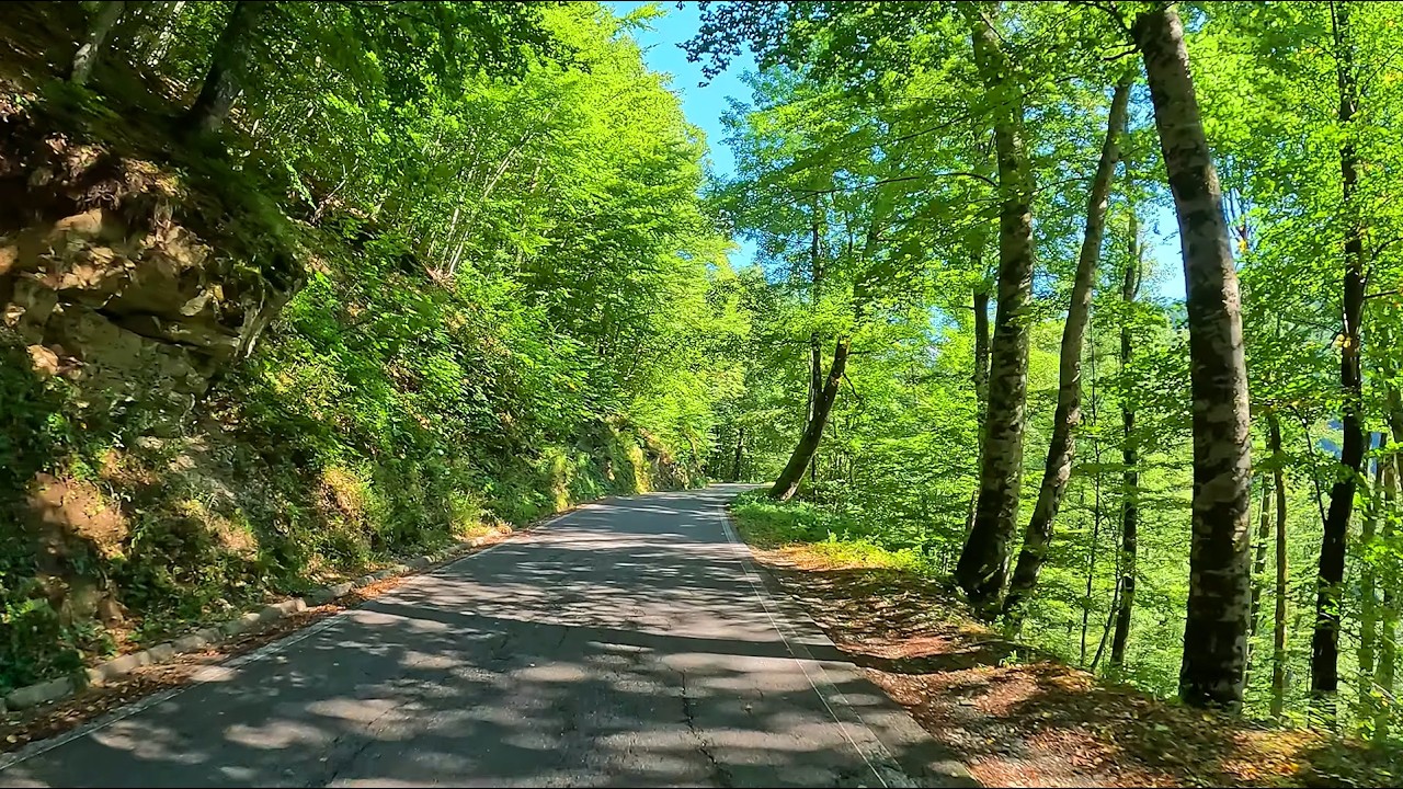 Scenic Drive to Biogradska Gora National Park | Montenegro Road Trip 2025