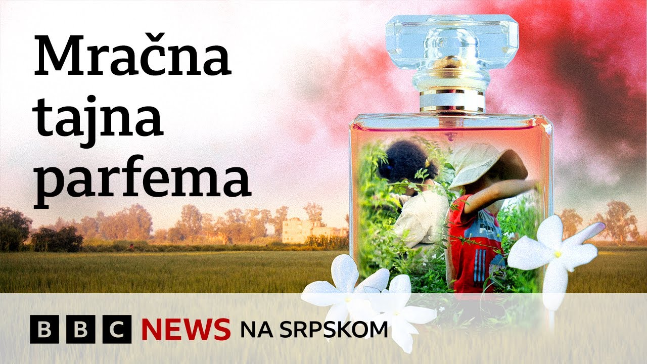 Dečji rad kao mračna tajna luksuznih brendova parfema | BBC News na srpskom