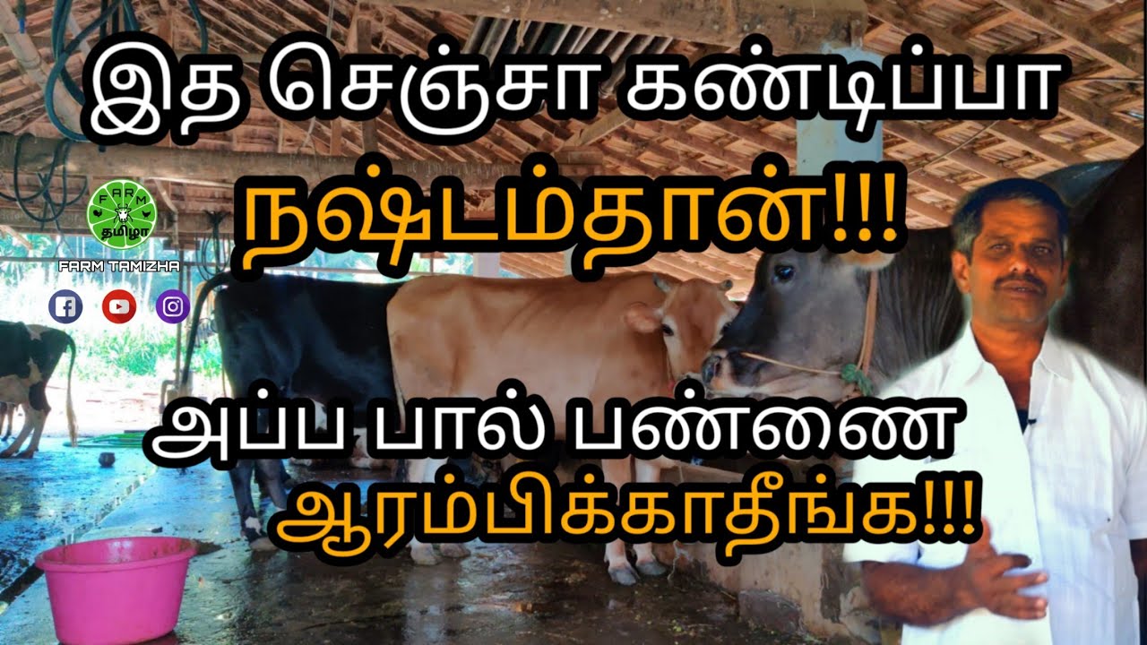 இதை செஞ்சா.. கண்டிப்பா பால்பண்ணை ஆரம்பிக்காதீங்க | Don't do this if you are starting dairy farm |