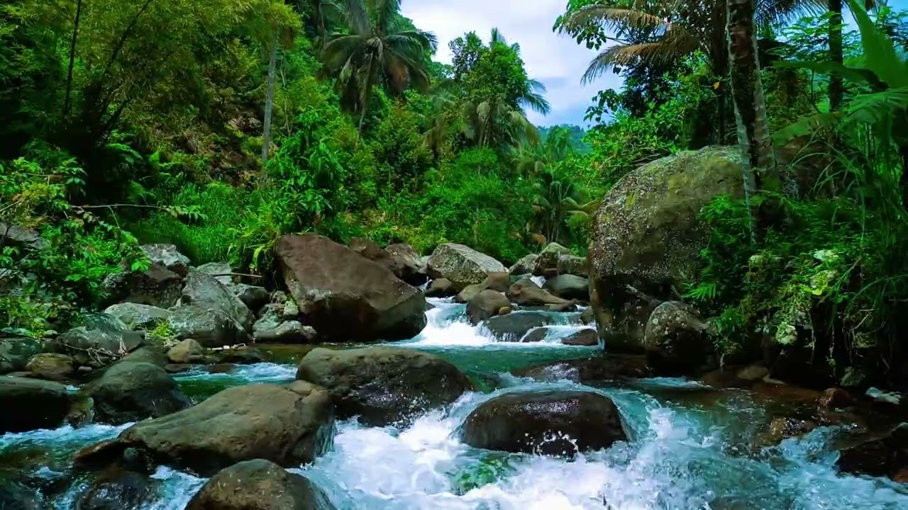 Soothing HD Tranquil ASMR River Ambience for Better Sleep and Stress Detox