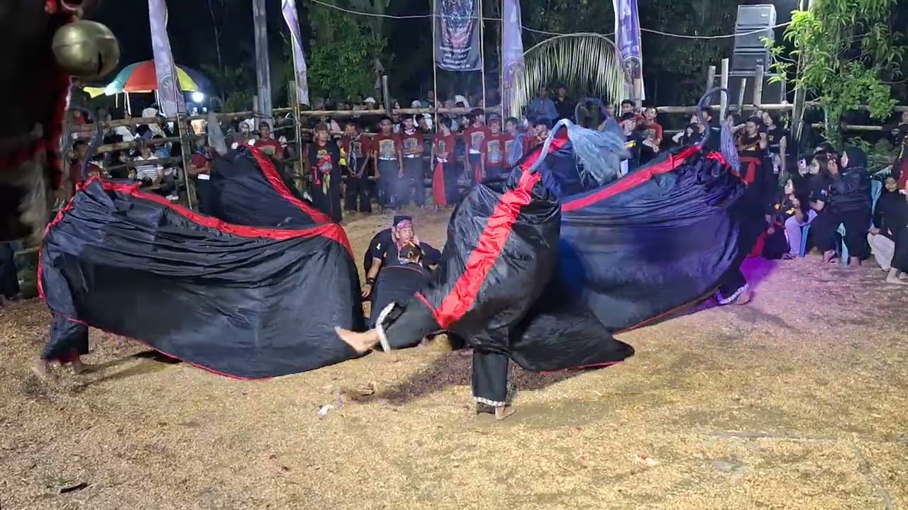 Perform BANTENG IRENG Lokasi Padepokan MSJ alamat Singkuang Murjani 4.