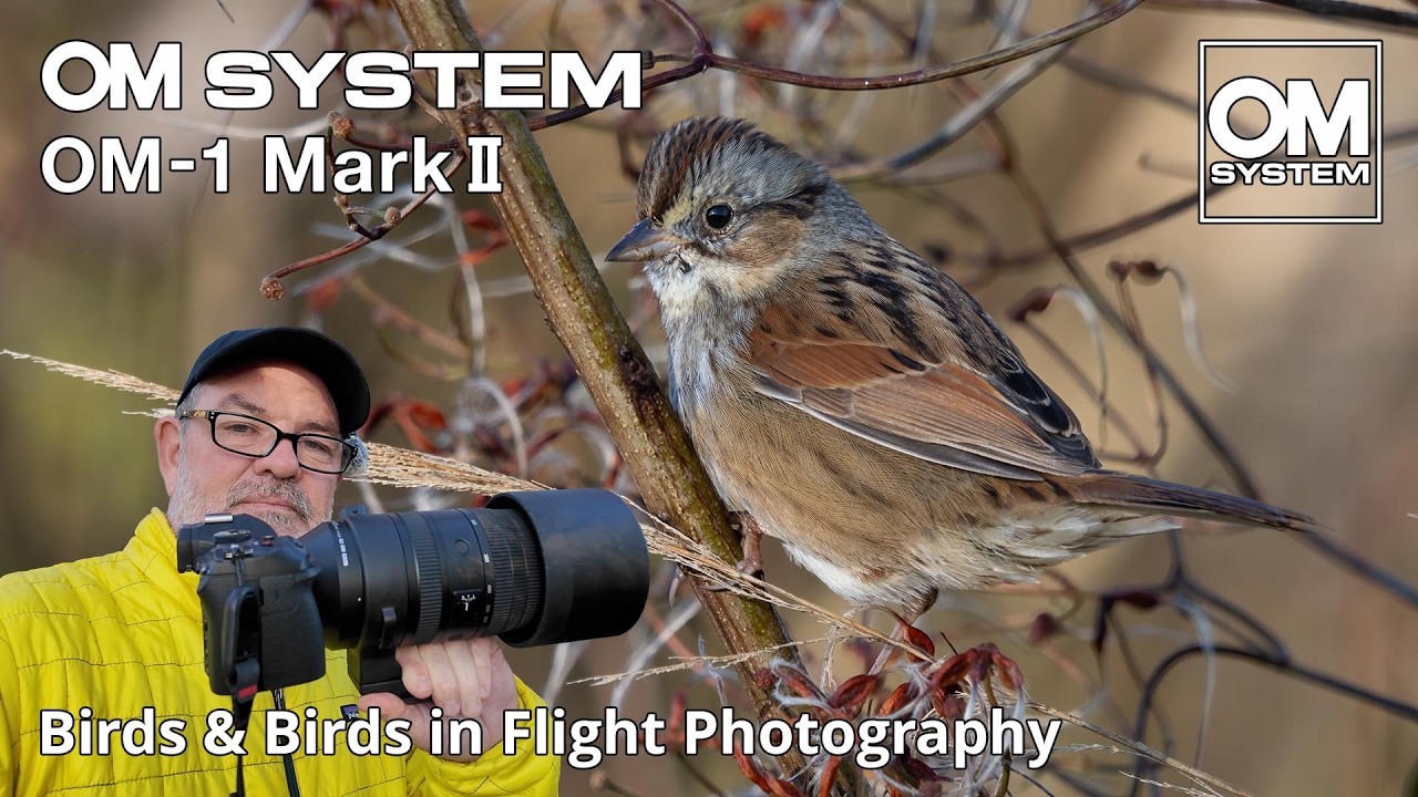 OM-1 Mark II «Птицы и птицы в полёте» с объективом 150–600 мм! Заповедник дикой природы Хивасси