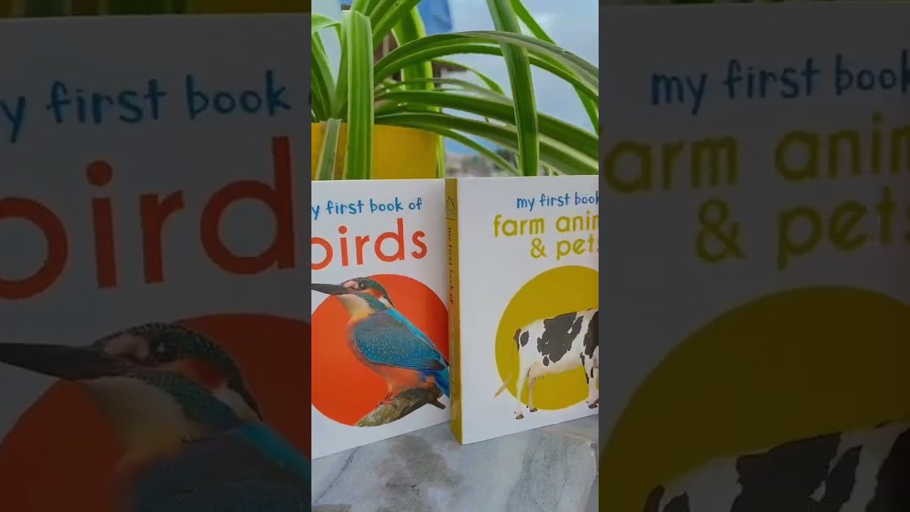 My First Library: Boxset of 10 Board Books for Kids