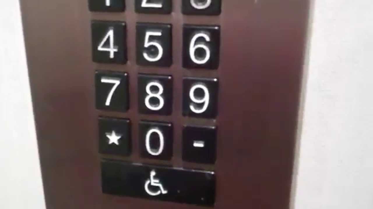 The 