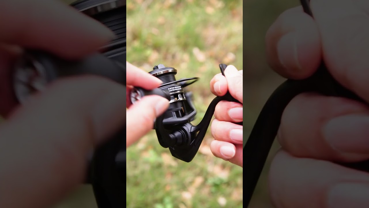 Combo Iroly Integra UL x Exotic Type O