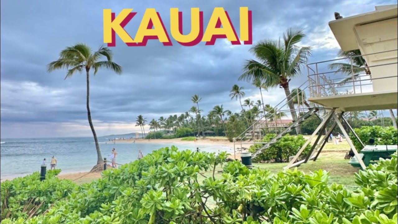 The Calming Sounds of Kauai 💙#travel #asmr #sunrise #Hawaii #moderndaybreakfastclub