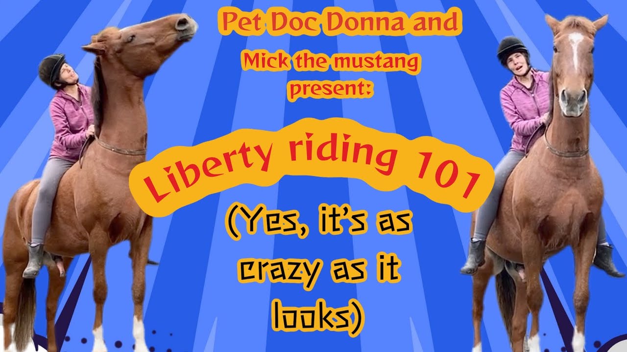 Crazy horse! How to liberty ride: Step by step guide to riding at liberty. Yes it's crazy! #horses