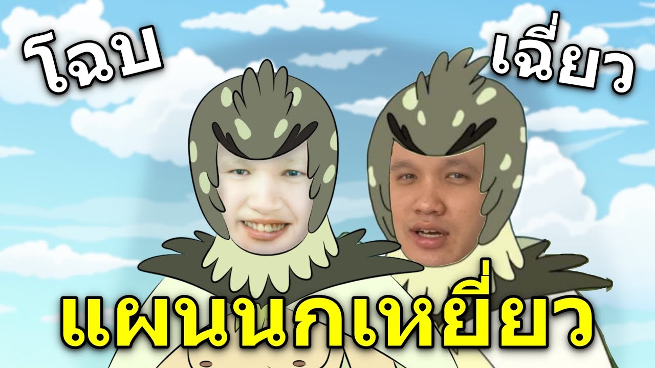 แผนนกเหยี่ยวที่รอกินเหยื่อของพี่ซี๊ด