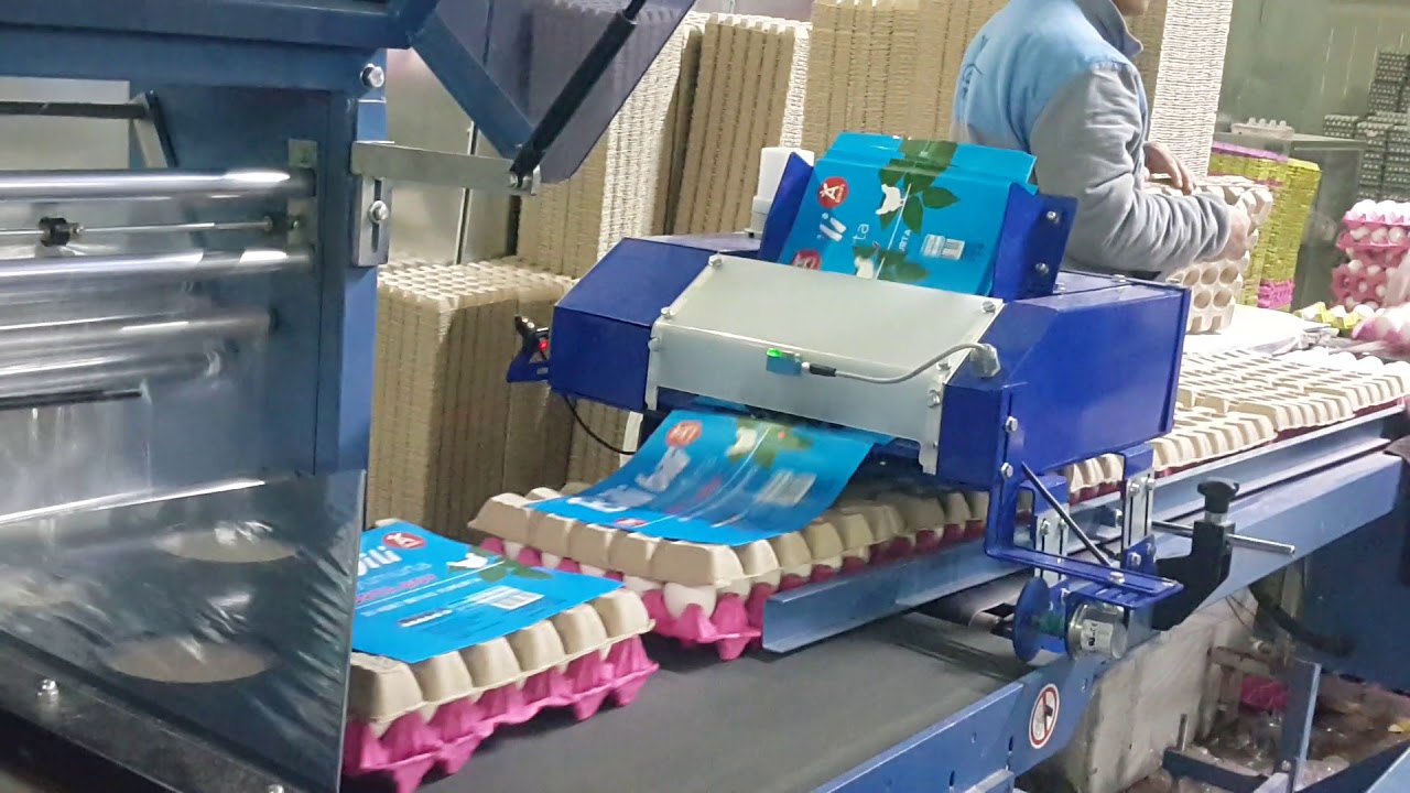 Etiket bırakma koyma yumurta etiket besleme egg ecmmakina ecmmakine 0216 465 66 03 ecmmakine@gmail.c