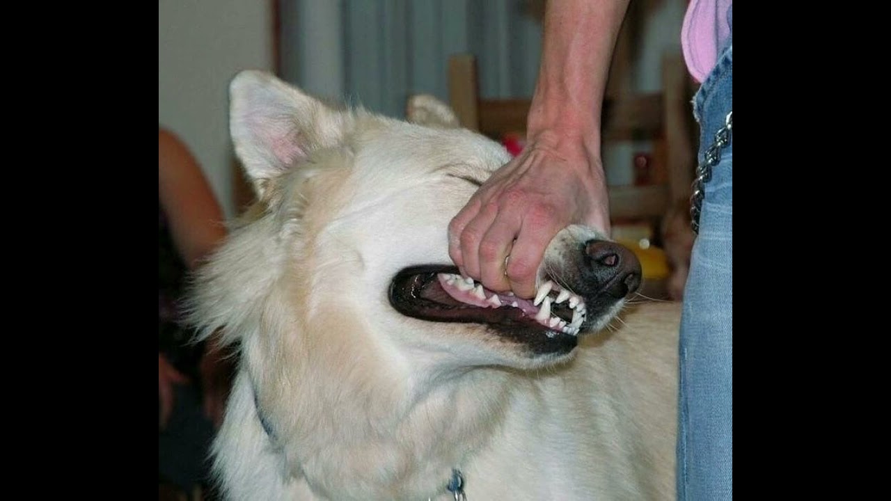 Lil Peep - Nuts (Slowed perfect)