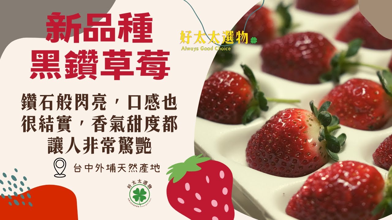 台中外埔-新品種【黑鑽草莓】香氣濃甜度佳色澤美，口感清脆，值得一試的絕佳草莓品種