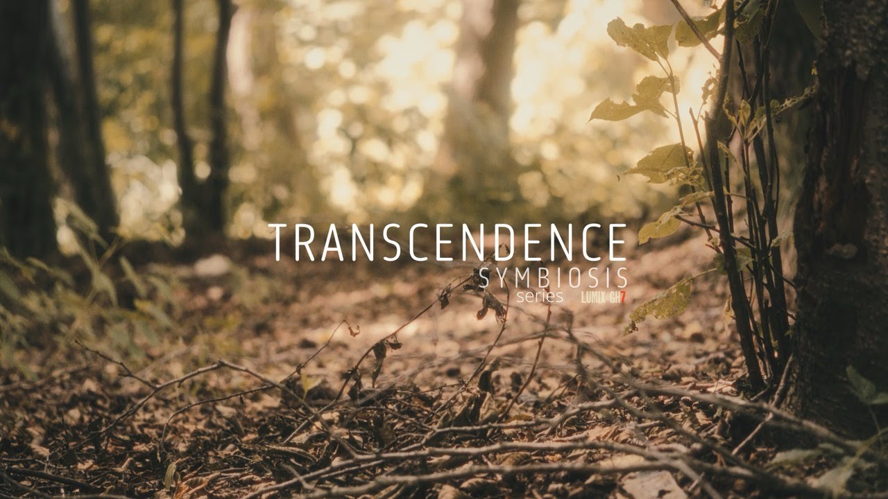 „Transcendence”SHORT FILM LUMIX GH7