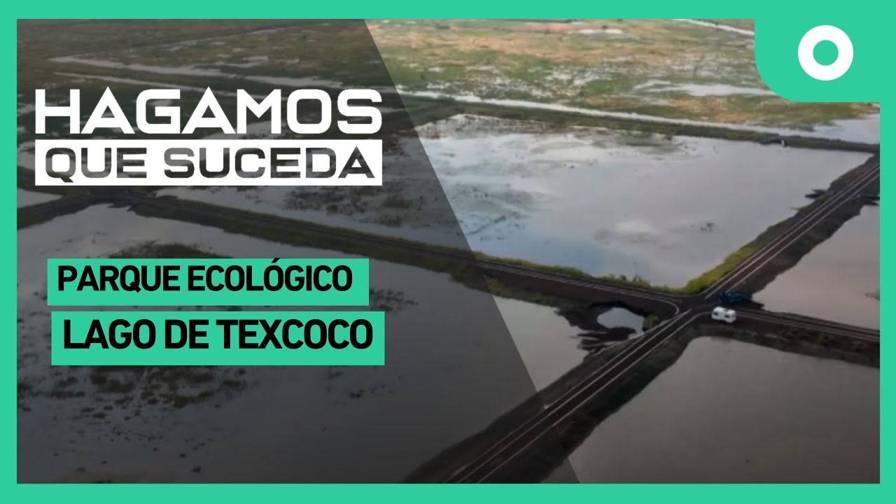 Hagamos que suceda - Parque Ecológico Lago de Texcoco (17/11/2024)
