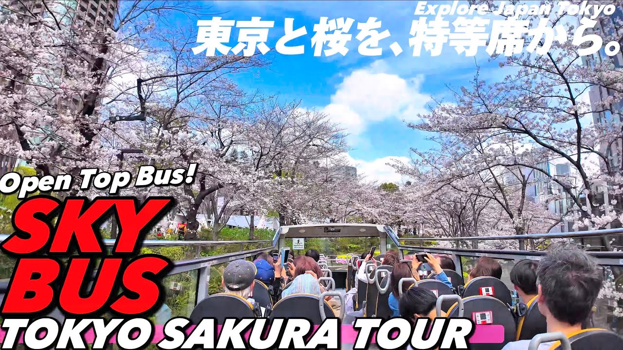 【4K.スカイバス】春の東京さくらツアー‼︎東京タワー六本木千鳥ヶ淵へ屋根なしオープンバスで巡る東京観光をご案内【お花見桜の名所|東京駅】SkyBusTour.Tokyo Travel