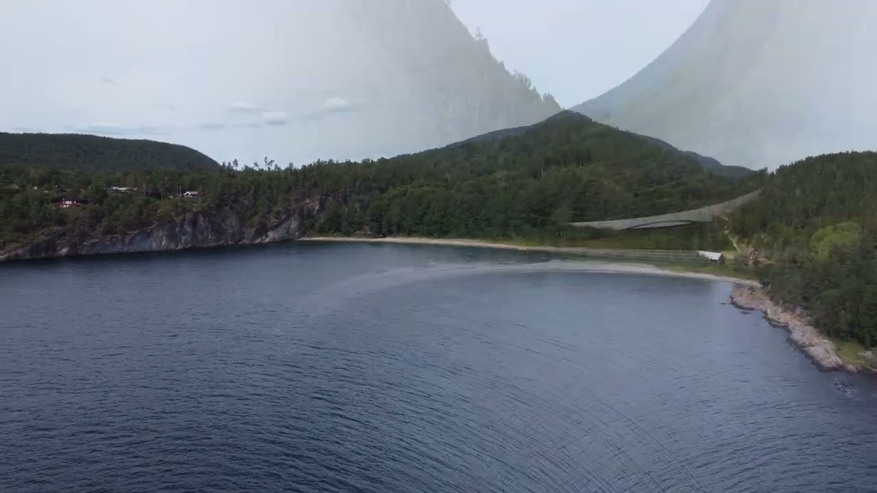 DJI Mini 2