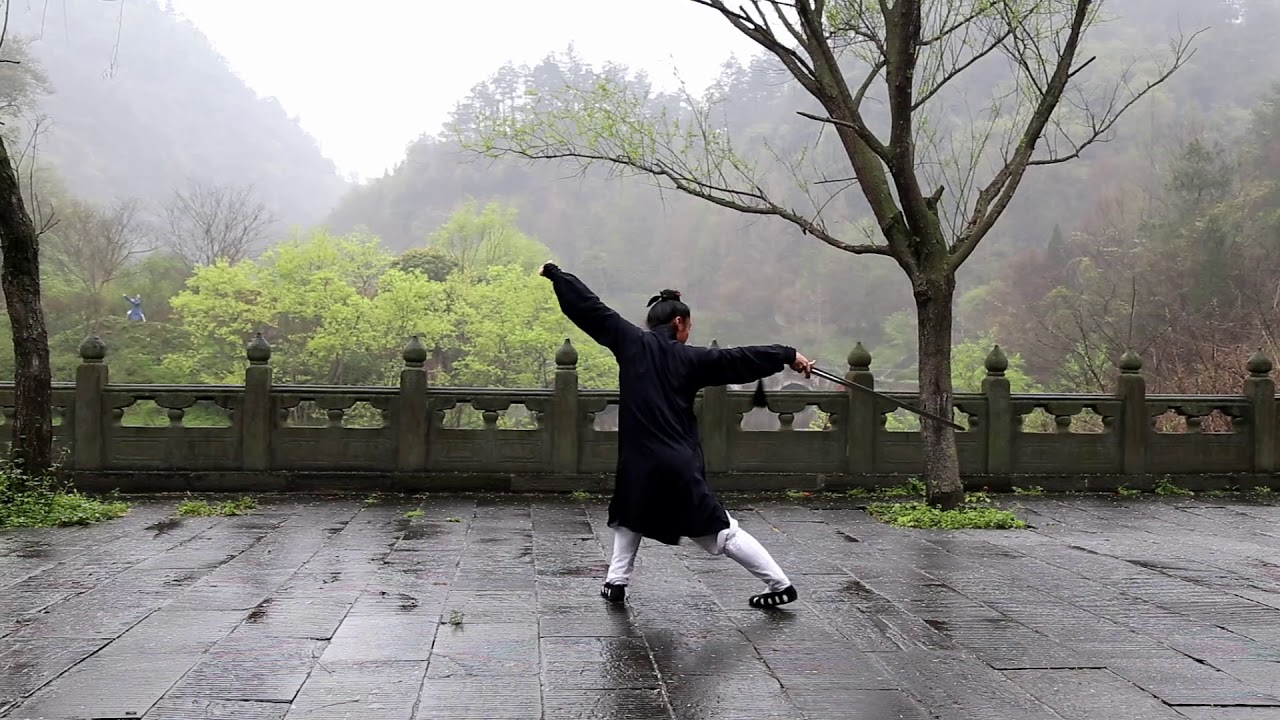 武当功夫  唐资初 Taichi