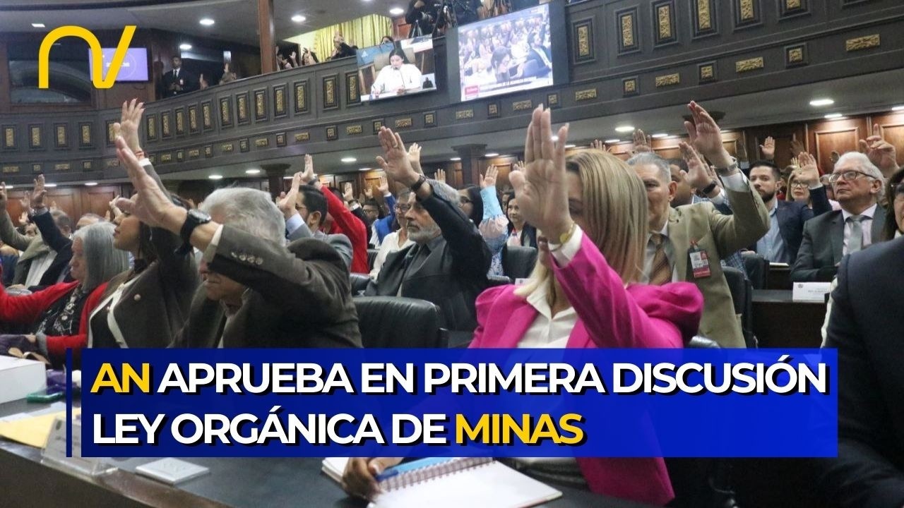 Asamblea Nacional aprueba en primera discusión Ley Orgánica de Minas