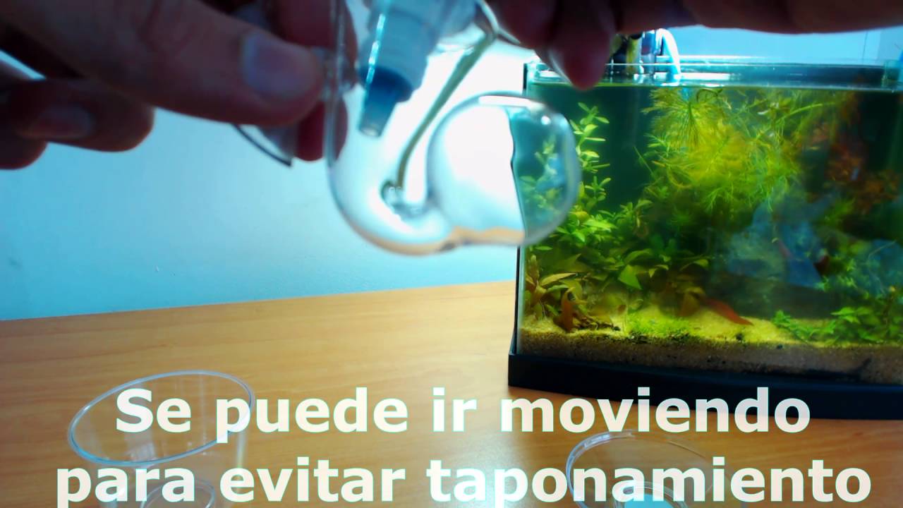 Como usar un Drop Checker | medidor de CO2 Acuario | how to set up a Drop checker