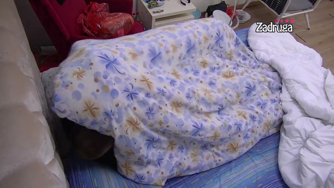 Zadruga 4 - Janjuš dobio kritike od Cara, Maja i dalje misli na akciju  - 09.06.2021.