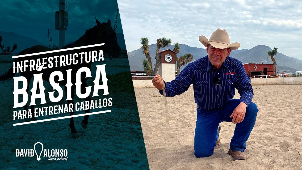 Infraestructura básica para entrenar caballos
