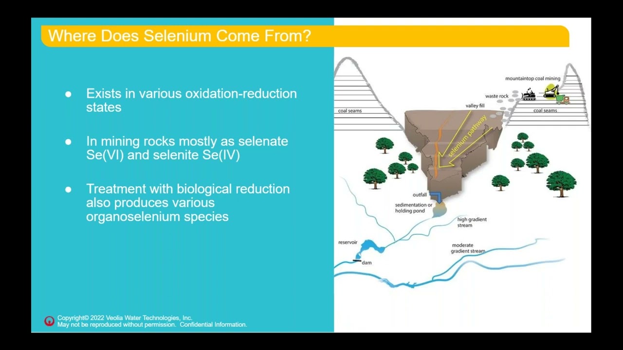 Removing Selenium from Industrial Wastewater