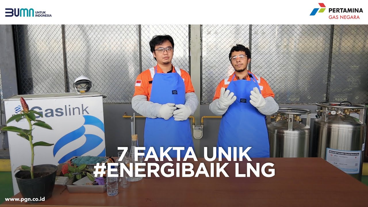 7 Fakta Unik LNG