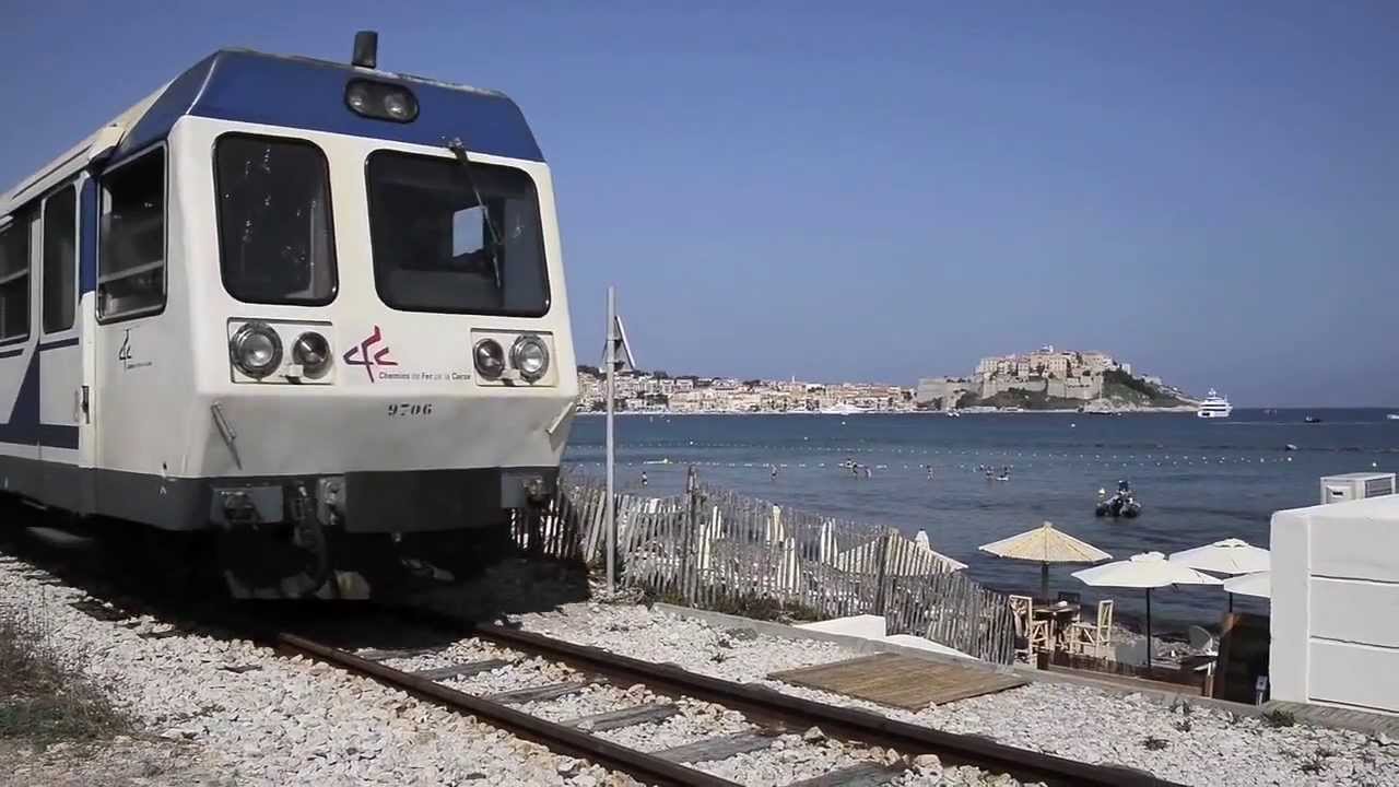 St&ouml;rrischer Esel / Korsika - ImageVideo
