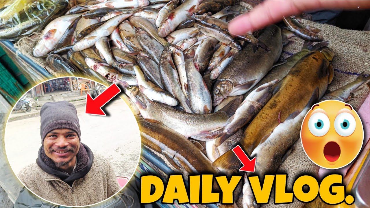 जल बहादुर ने लाया इतनी सारी मछलियां😱 |daily vlog |vlog 2026 |Vlogger 