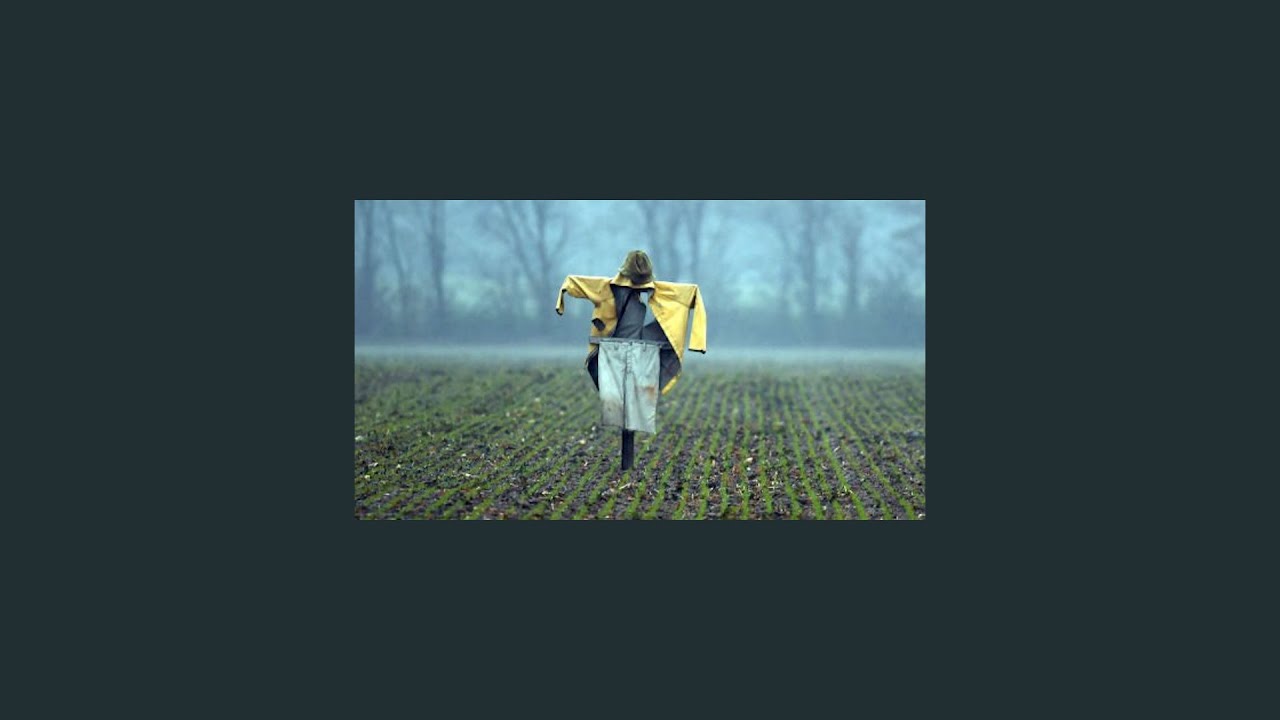 Tally Hall - Hymn for a Scarecrow (Slowed + Reverb)
