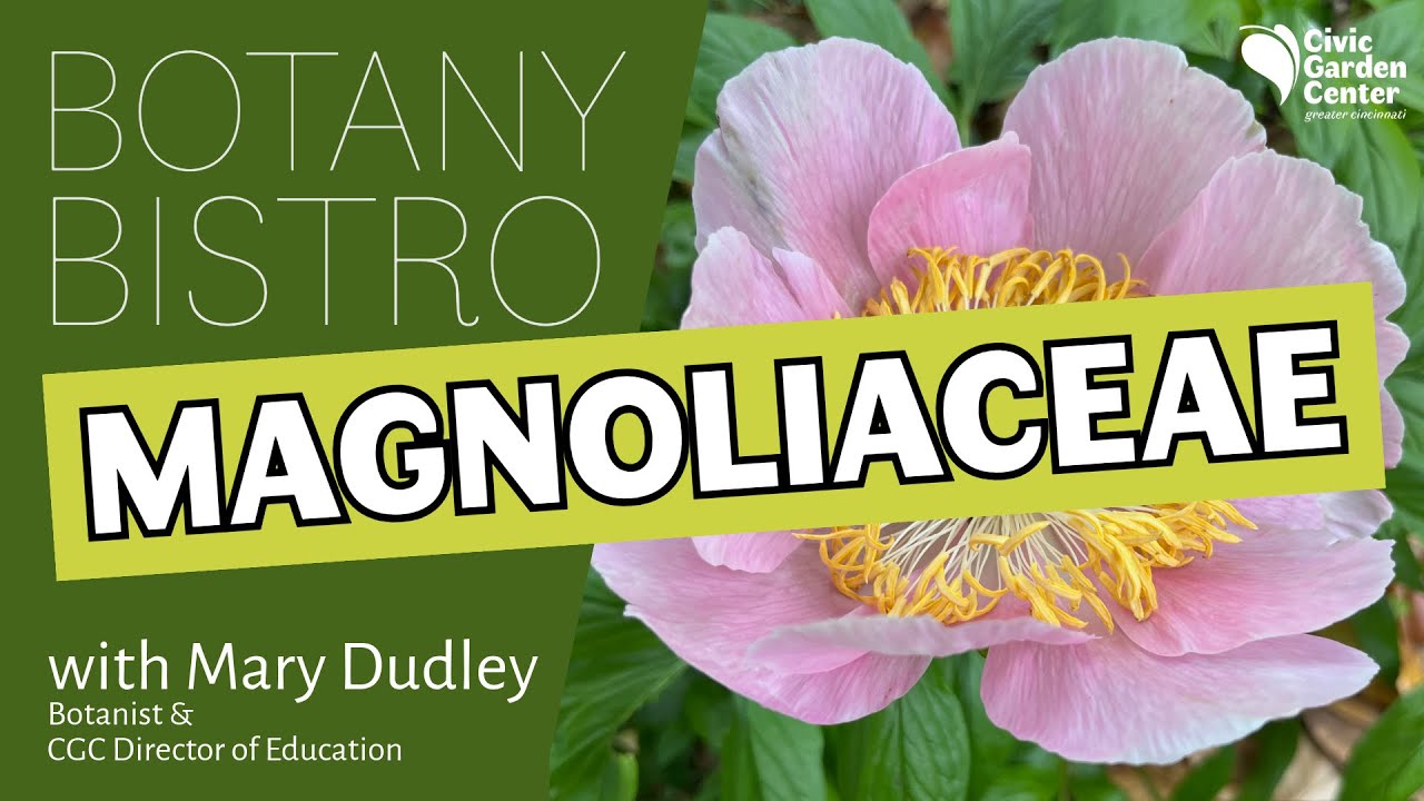 Bistro 2 Go: Magnoliaceae