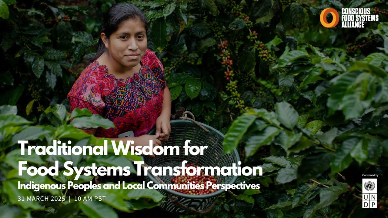 Traditional Wisdom for Food Systems Transformation
