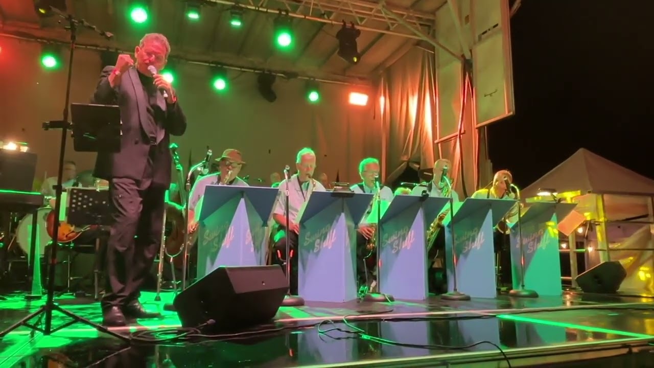 Rick Levine sings Just The Way You Look Tonight