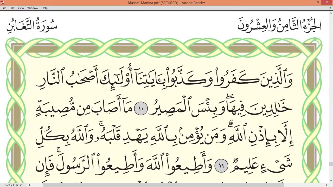 Practice reciting with correct tajweed - Page 557 (Surah At-Taghabun)