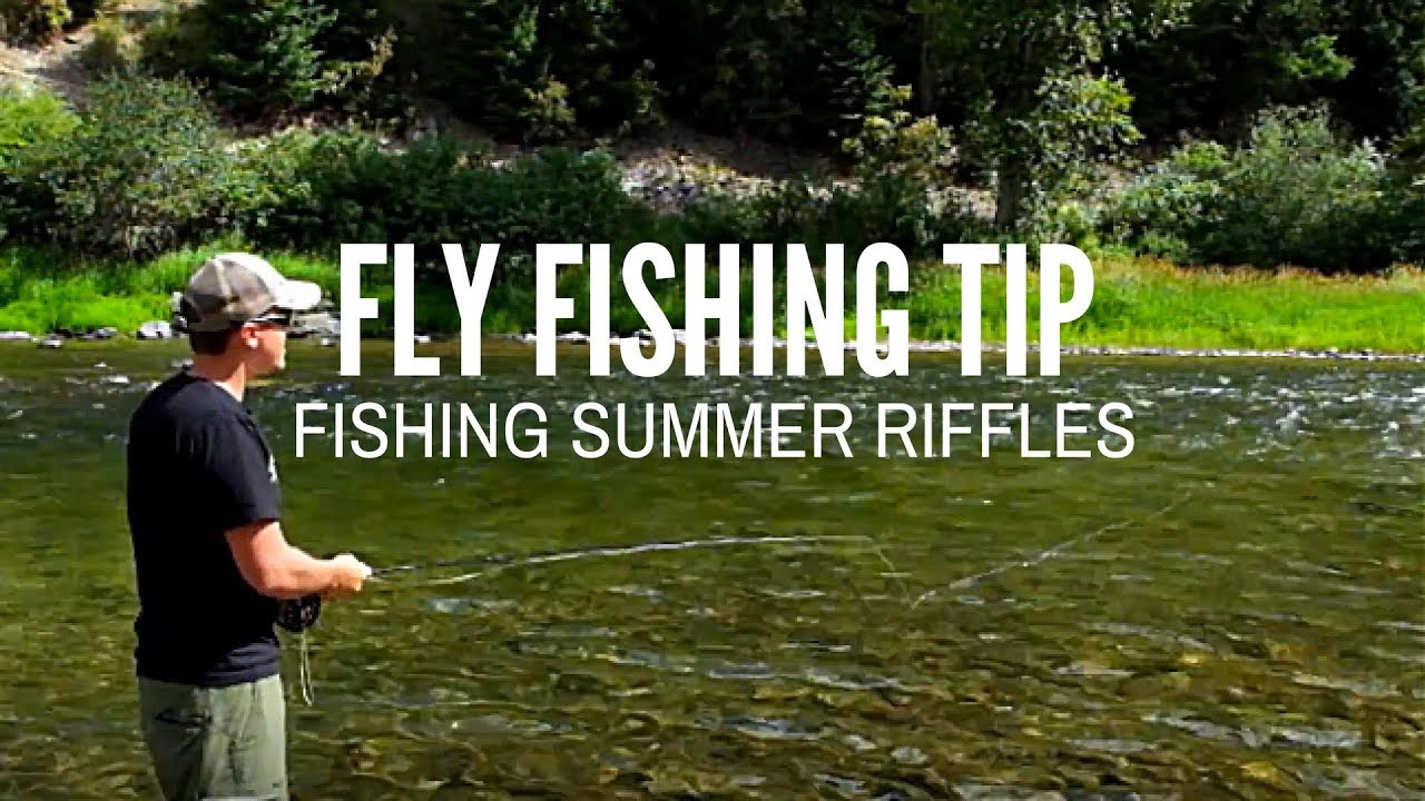 Fly Fishing Summer Time Riffle Water