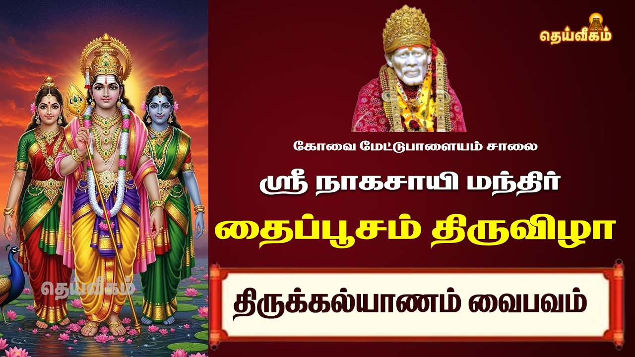 திருக்கல்யாணம் வைபவம்  தைப்பூசம் திருவிழா ஸ்ரீ நாகசாயி அறக்கட்டளை ஸ்ரீ நாகசாயி மந்திர் கோவை