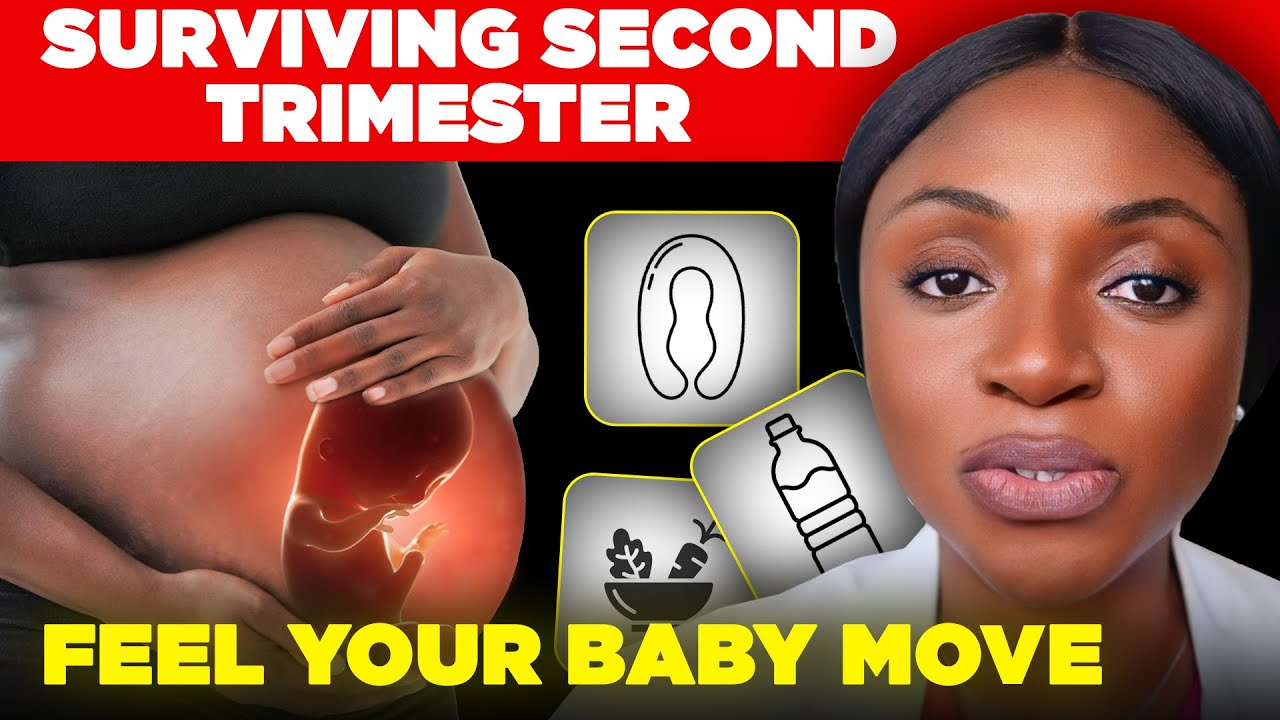 Pregnancy Weeks 14–27 | Second Trimester Facts, Baby Development, Symptoms & Tips!