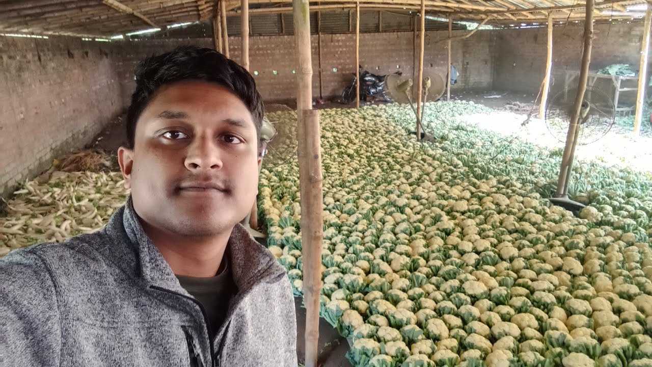 Bangladesh biggest vegetable market in Bogura 