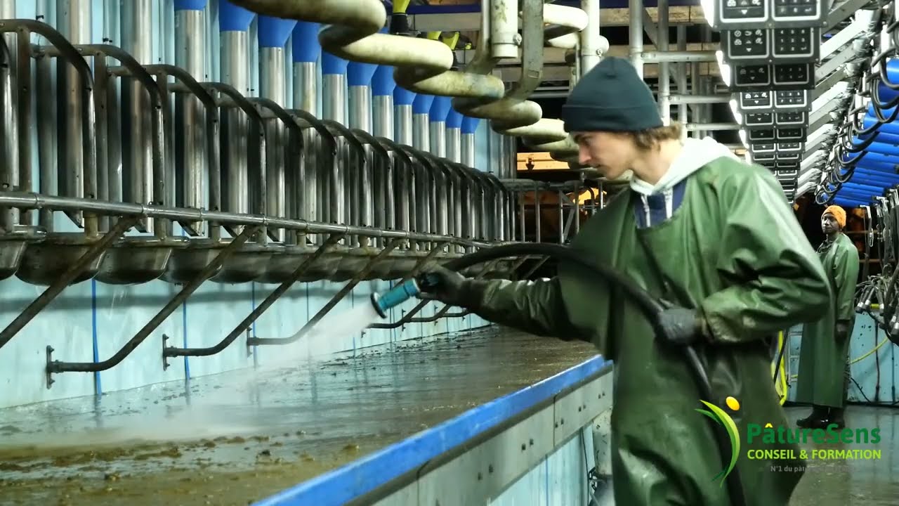 La production de lait au pâturage en grand troupeau - François BLOT, GAEC des Petits Monts, Mayenne.