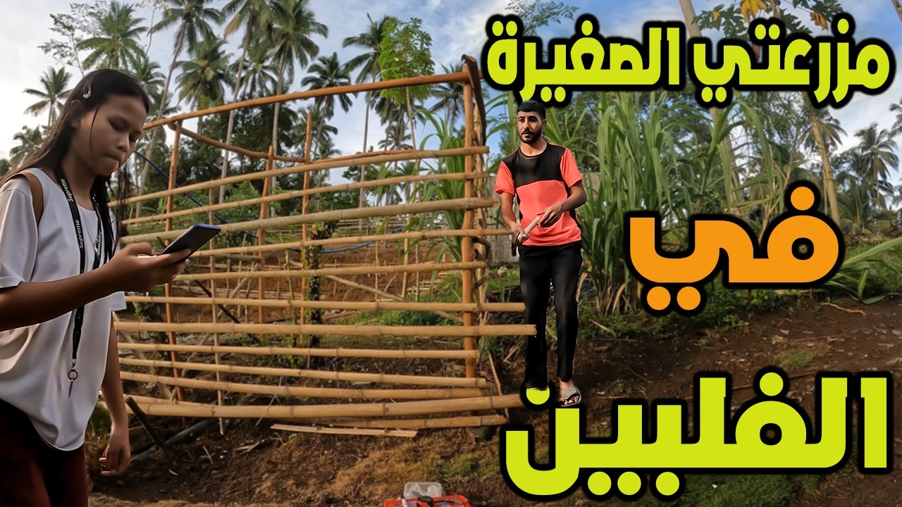 بداية بناء بيت للدجاج في مزرعتي الصغيرة في الفلبين 🐓🏡 (الجزء الأول)