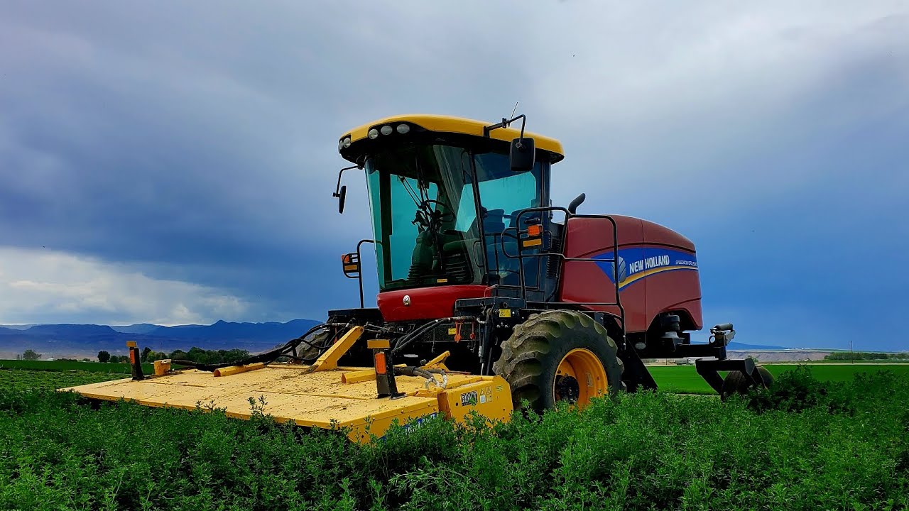 First Cutting Alfalfa 2023!