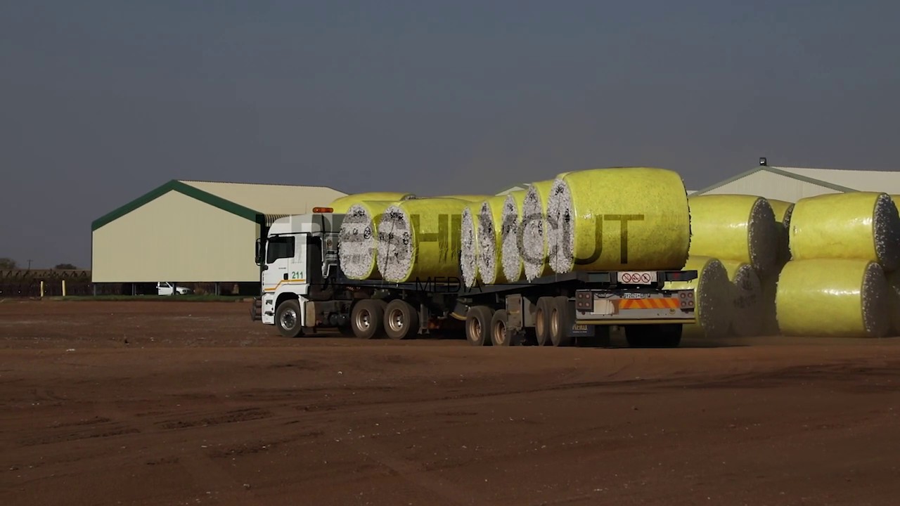 Cotton 3 - Truck transporting bales of cotton